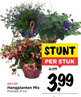 Vomar Voordeelmarkt Hangplanten Mix aanbieding