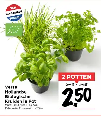 Vomar Voordeelmarkt Hollandse Biologische Kruiden in Pot aanbieding