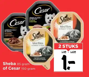 Vomar Voordeelmarkt Sheba of Cesar aanbieding