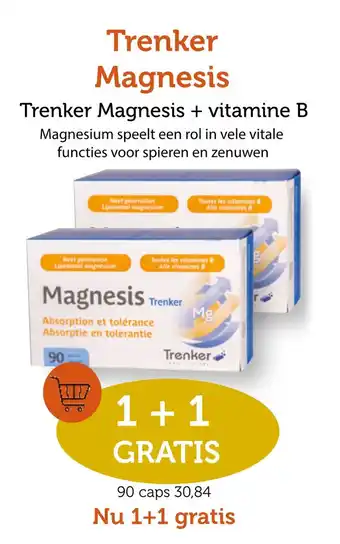 De Rode Pilaren Trenker Magnesis aanbieding