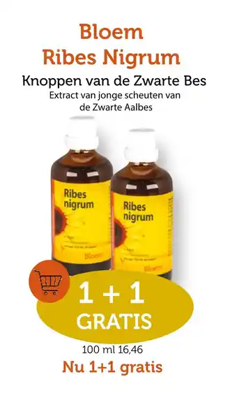 De Rode Pilaren Bloem Ribes Nigrum 100ml aanbieding