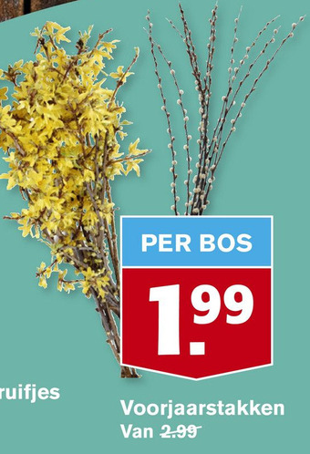 Hoogvliet Voorjaarstakken aanbieding