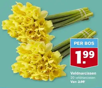 Hoogvliet Veldnarcissen aanbieding