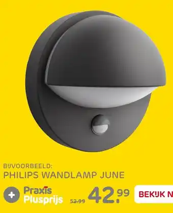 Praxis Philips Wandlamp June aanbieding