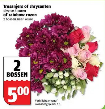 Poiesz Trosanjers of chrysanten of rainbow rozen aanbieding