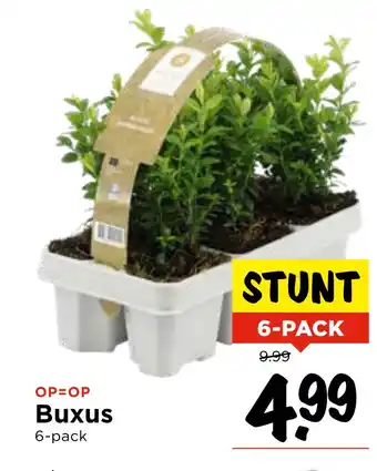 Vomar Voordeelmarkt Buxus 6-pack aanbieding