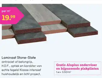 Leen Bakker Lamingat stone-slate aanbieding