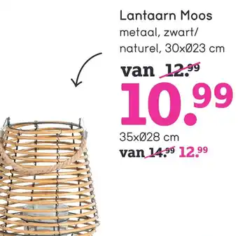 Leen Bakker Lantaarn moos aanbieding