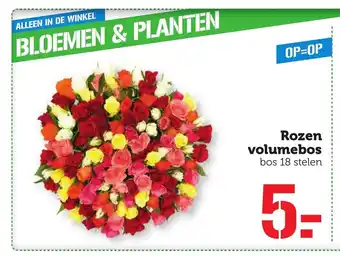 Coop Rozen volumebos 18 stelen aanbieding