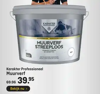 Hubo Karakter Professioneel Muurverf aanbieding