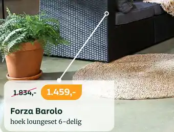 Kees Smit Forza Barolo aanbieding