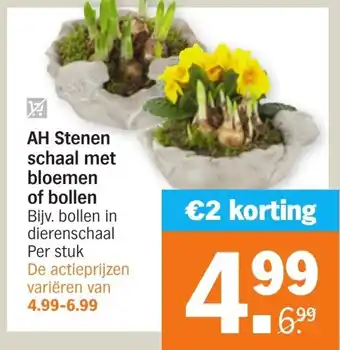 Albert Heijn AH Stenen schaal met bloemen of bollen aanbieding