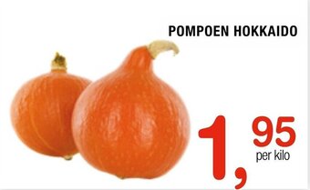 Amazing Oriëntal Pompoen Hokkaido aanbieding