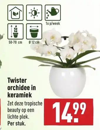 ALDI Twister orchidee in keramiek aanbieding