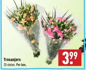 ALDI Trosanjers aanbieding