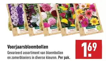 ALDI Voorjaarsbloembollen aanbieding