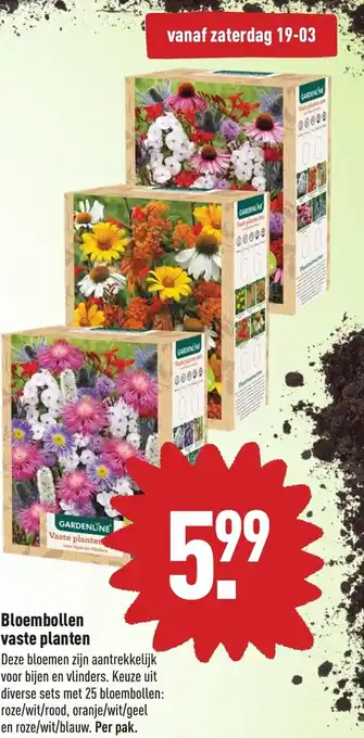 ALDI Bloembollen vaste planten aanbieding