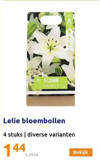 Action Lelie bloembollen aanbieding