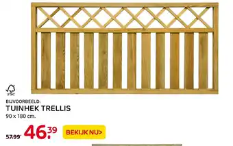 Praxis Tuinhek trellis 90 x 180cm aanbieding