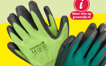 GroenRijk GroenRijk handschoenen aanbieding
