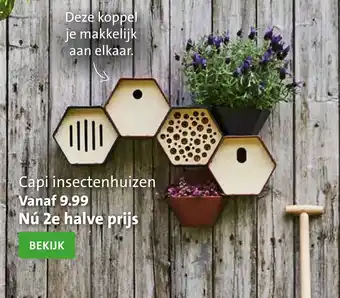 Intratuin Capi insectenhuizen aanbieding