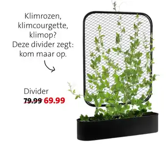 Intratuin Divider aanbieding