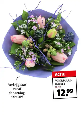 Intratuin Voorjaarsboeket aanbieding