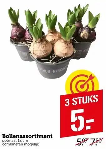 Coop Bollenassortiment aanbieding