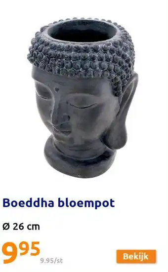 Action Boeddha bloempot aanbieding