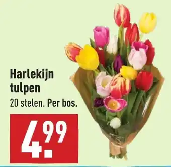 ALDI Harlekijn tulpen aanbieding