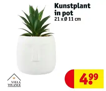 Kruidvat Kunstplant in pot aanbieding