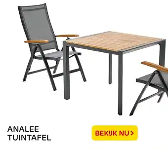 Praxis Analee tuintafel aanbieding