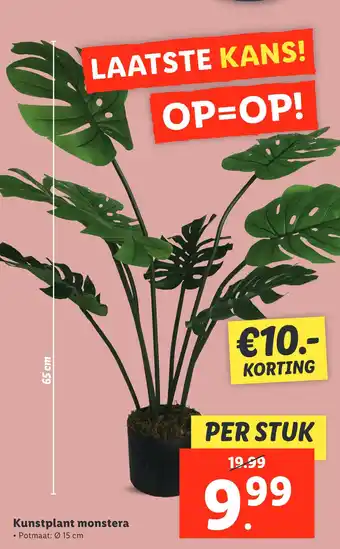 Lidl Kunstplant monstera aanbieding