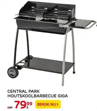 Praxis Central Park Houtskoolbarbecue Giga aanbieding