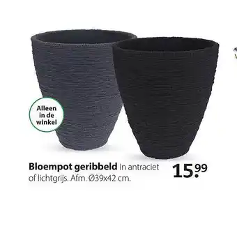 Boerenbond Bloempot Geribbeld aanbieding