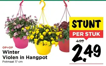 Vomar Voordeelmarkt Winter Violen in Hangpot aanbieding