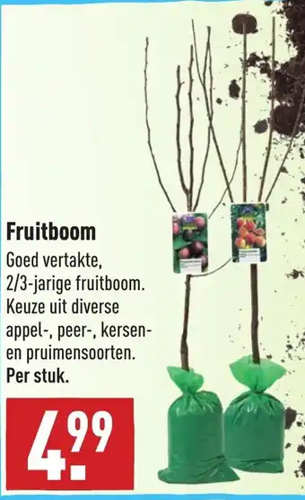 ALDI Fruitboom aanbieding