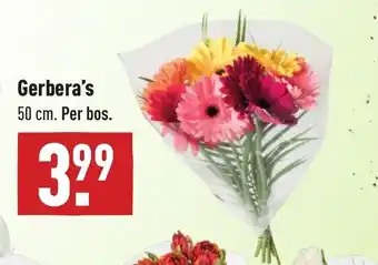 ALDI Gerbera's 50cm aanbieding