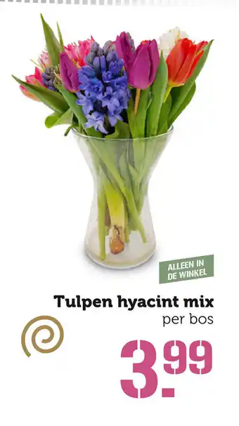 Coop Tulpen hyacint mix aanbieding