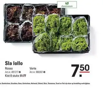 Sligro Sla Lollo Rosso Of Verte aanbieding