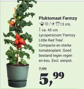 Tuincentrum Osdorp Pluktomaat Farmzy aanbieding