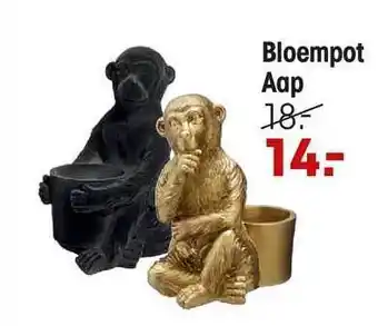 Kwantum Bloempot Aap aanbieding