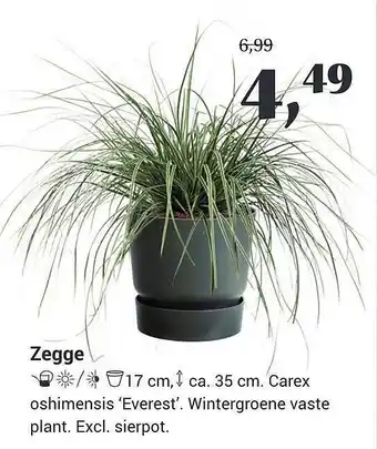 Tuincentrum Osdorp Zegge aanbieding