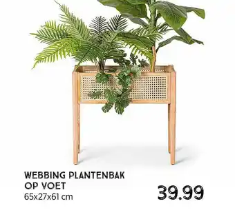 Xenos Webbing Plantenbak Op Voet 65x27x61 Cm aanbieding