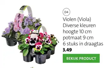 Intratuin Violen aanbieding