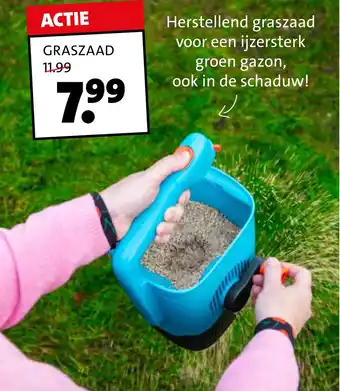 Intratuin Graszaad aanbieding