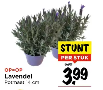 Vomar Voordeelmarkt Lavendel aanbieding