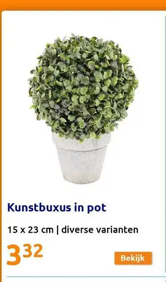 Action Kunstbuxus In Pot aanbieding