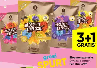 Big Bazar Bloemenexplosie aanbieding