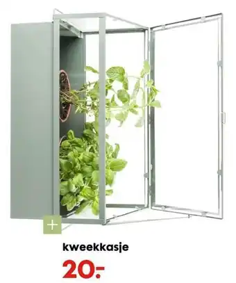 HEMA Kweekkasje aanbieding